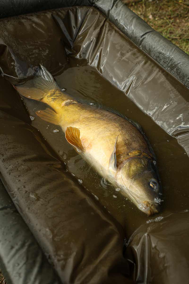 łóżeczko Fox Mistrz karpia