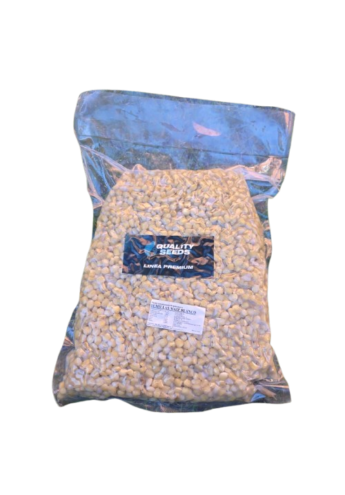 Kukurydza Quality Seeds Biały 5kg