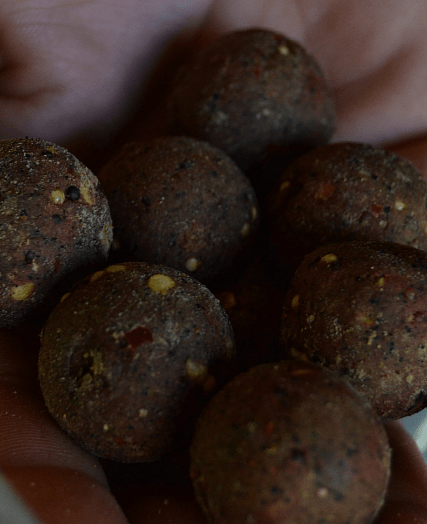 Boilies Vitalbaits Calidum 24 mm - Tienda Carpfishing