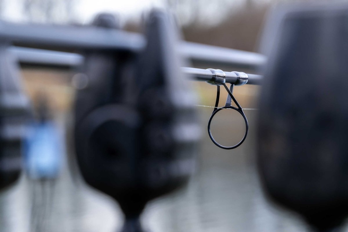 Caña Avid Carp Revolve R 10 pies 3,0 lb - Tienda Carpfishing