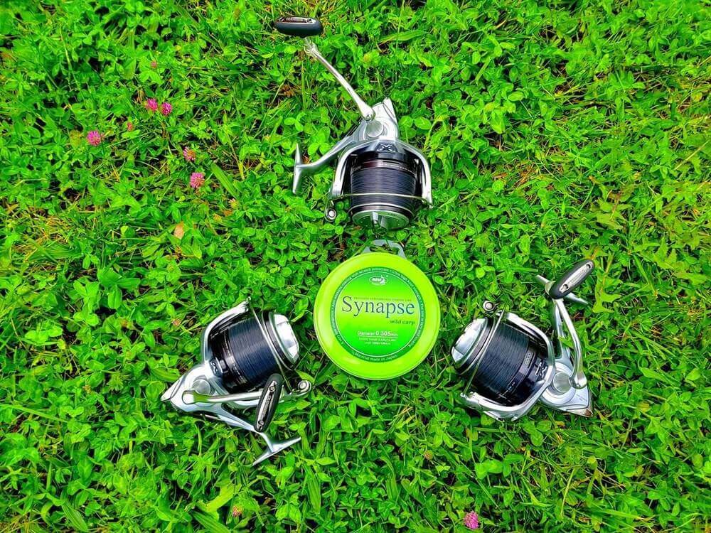 Hilo Katran Synapse Wild Carp 0,30 mm 1000 m - Tienda Carpfishing