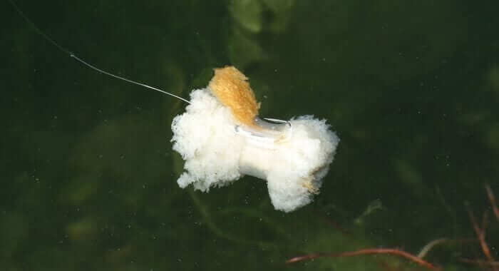 Bread Bomb pequeño Nash - Tienda Carpfishing