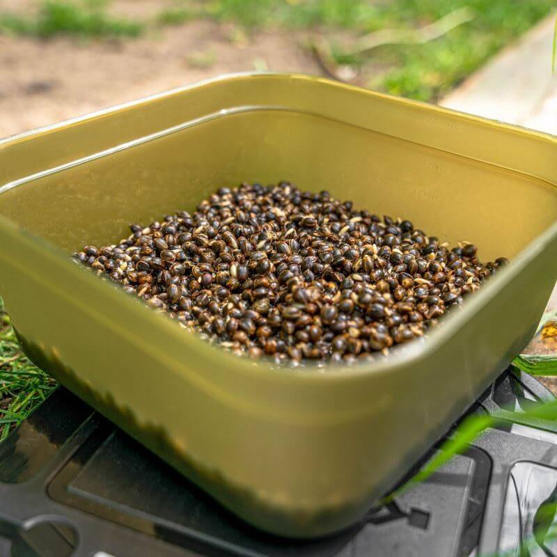 Caja Korum 0,6L - Tienda Carpfishing