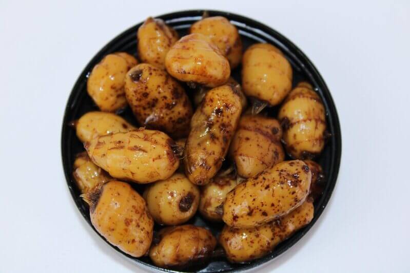 Chufas XXL Pro Elite Baits Gold Robin Red - Tienda Carpfishing