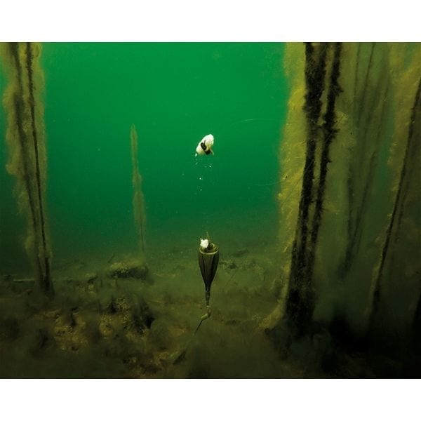 Zig Kit ajustable de Korda - Tienda Carpfishing