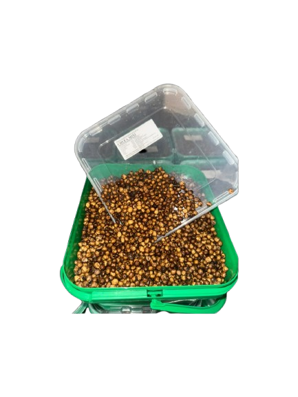 Orzechy tygrysie Quality Seeds mini 5 kg