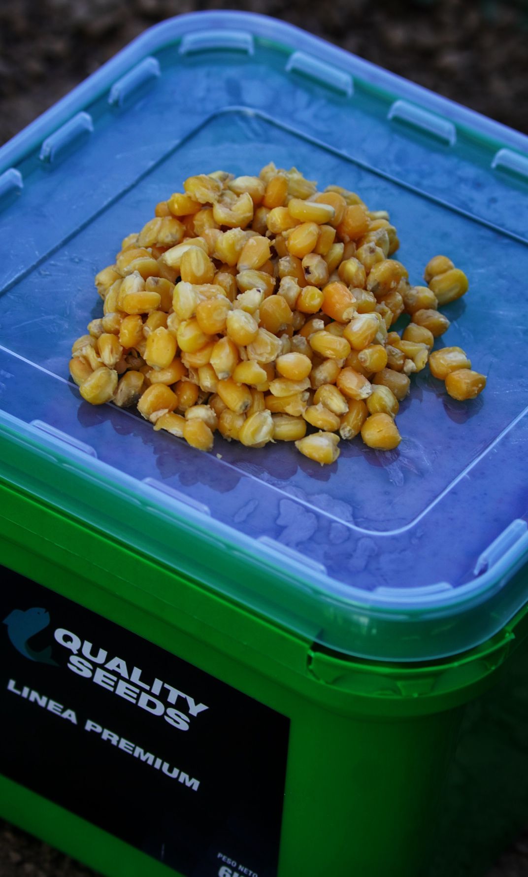 Wiadro kukurydziane Quality Seeds Żółty 6kg