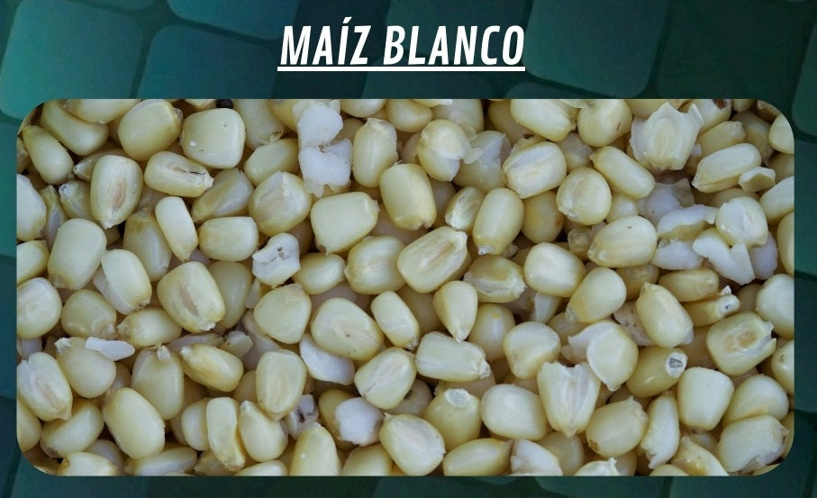 Wiadro kukurydziane Quality Seeds Biały 6kg