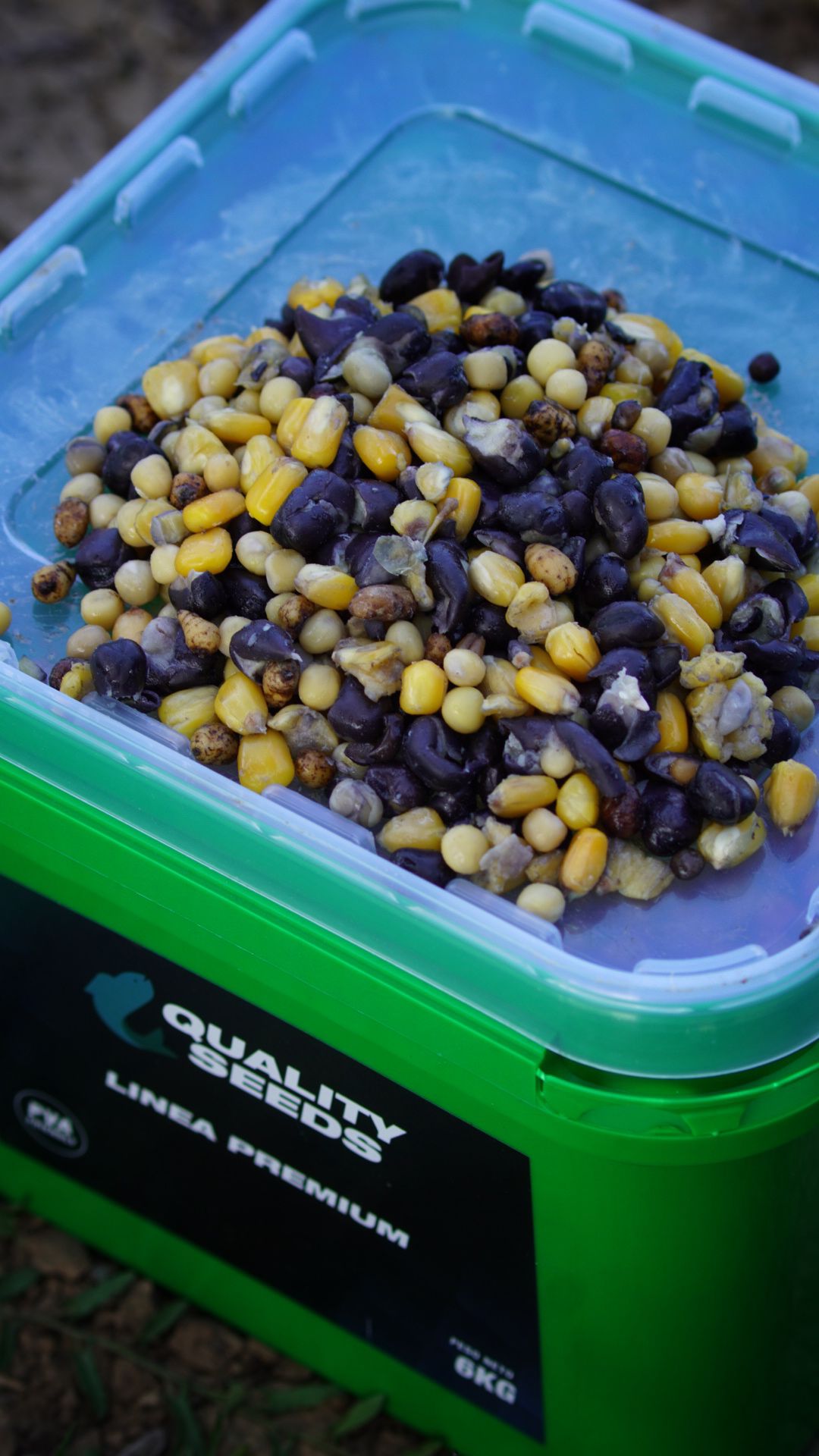 Kostka z mieszanką nasion Quality Seeds Classic 6 kg