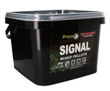 Mieszanka pelletu Starbaits Signal 2 kg