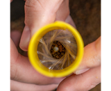 System produkcji toreb pva Avid Carp