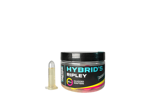Wafters Tactica Baits Hybrids Ripley 20 mm - Tienda Carpfishing