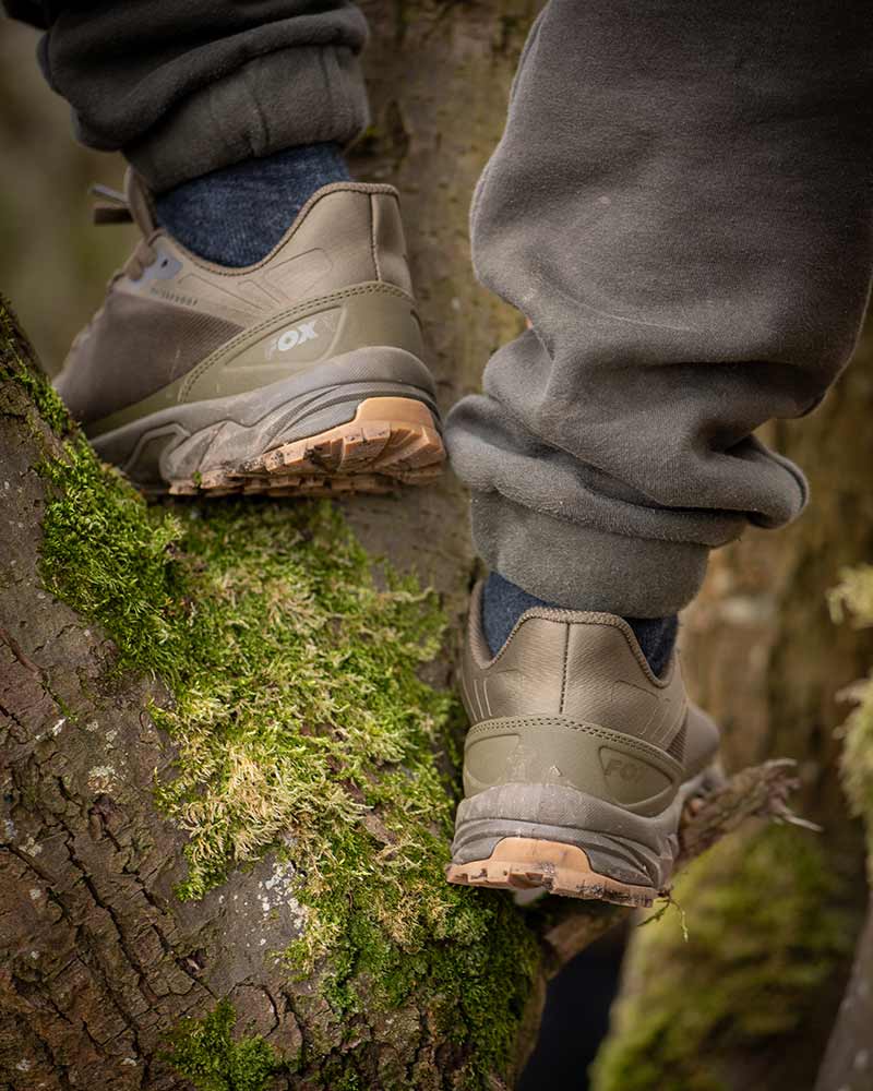 Trenerzy Fox Explorer Trainer
