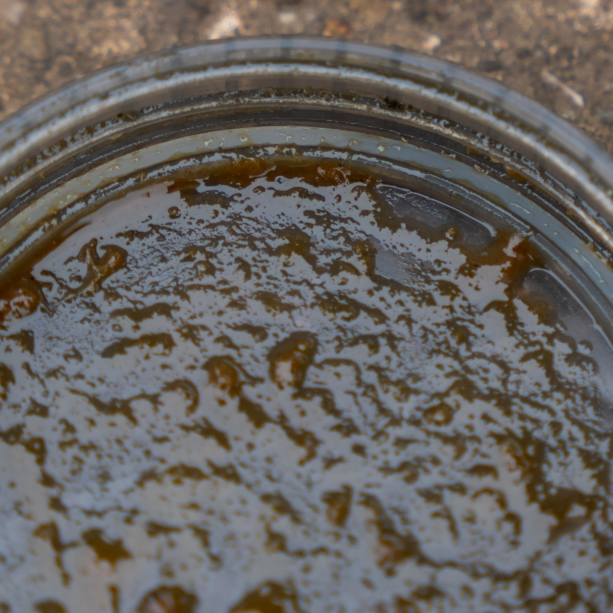 Bote para Cebos Avid Carp Large Hookbait Pots