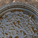 Bote para Cebos Avid Carp Large Hookbait Pots