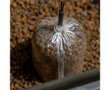 Bolsas de Pva Avid Carp 80 x 180 mm - Tienda Carpfishing