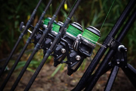 Hilo Katran Synapse Eclipse 1000 m - Tienda Carpfishing