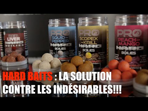 Boilies Starbaits Spicy Łosoś 20 mm