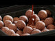 Hard Boilies Starbaits Red Liver - 24 mm