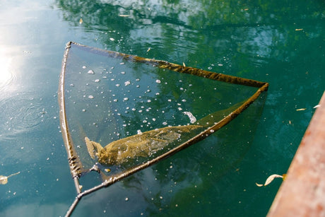 Sacadera Nash Scope OPS Retract 42" 2 Tramos - Tienda Carpfishing
