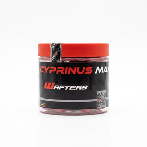 Wafters Trybion Cyprinus Max 20 mm - Tienda Carpfishing