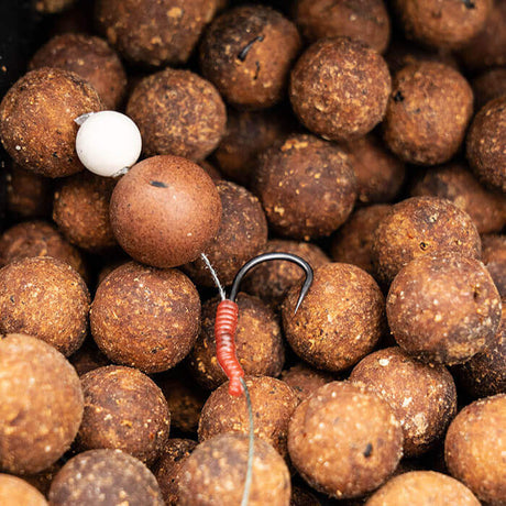 Bloodliner Aligner OMC Dazzlers S - Tienda Carpfishing