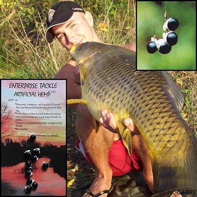 Cañamon Enterprise - Tienda Carpfishing