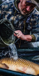 Cuna Prologic Avenger - Tienda Carpfishing