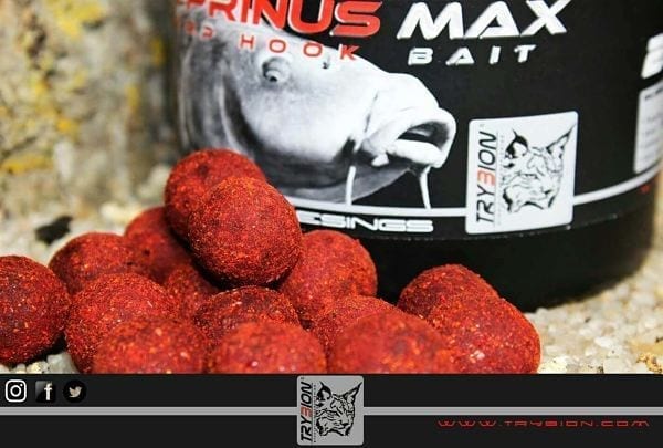 Hook Baits Trybion Cyprinus Max 20 mm - Tienda Carpfishing