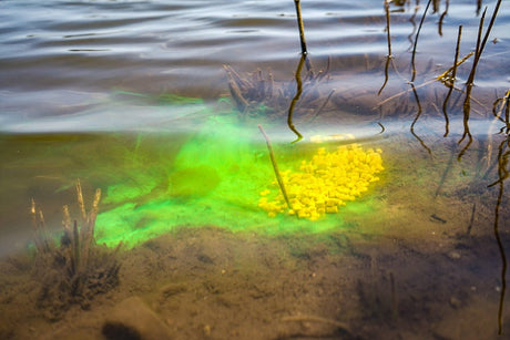 Líquido Fluminow Cream Pro Elite Baits Bloody Mulberry 150 ml - Tienda Carpfishing