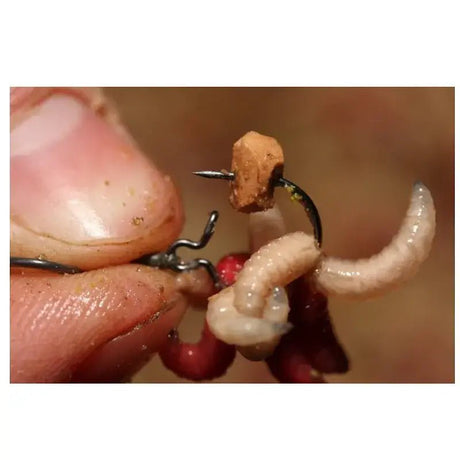 Maggot Clips Korda L - Tienda Carpfishing