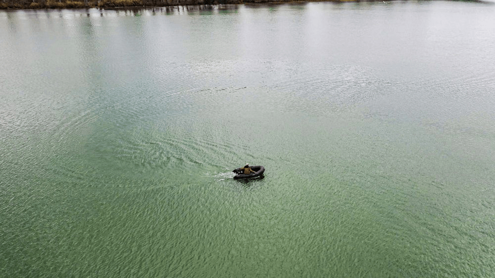 Motor Rhino BLX70 - Tienda Carpfishing