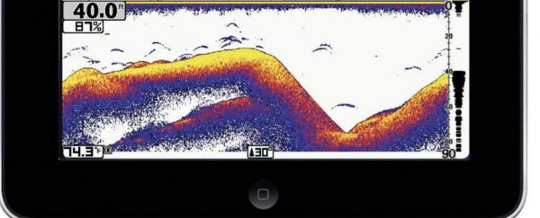 sonda wifi electrocarp (3)