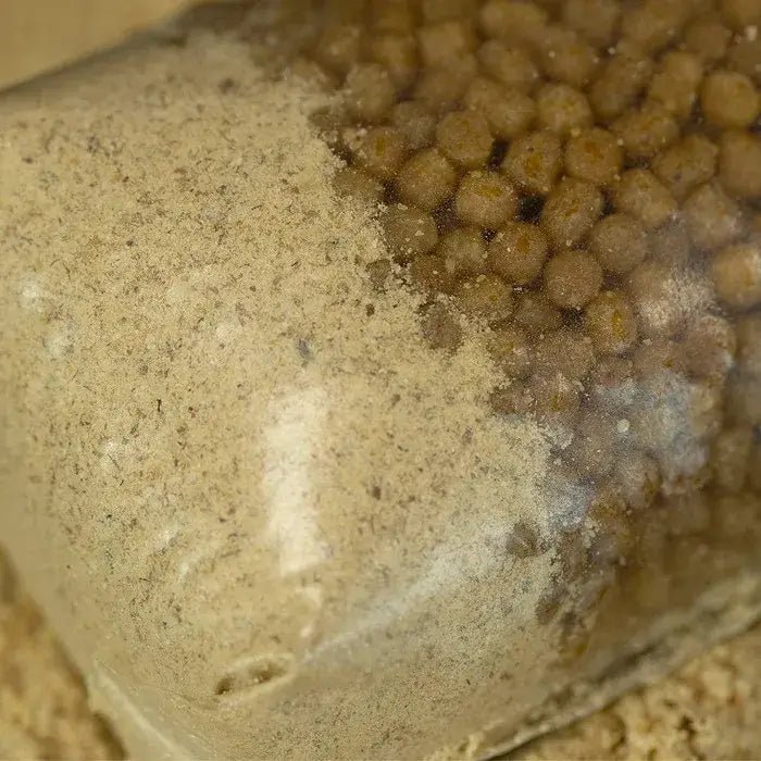 Stick Mix Sticky Manilla 2,5 Kg - Tienda Carpfishing